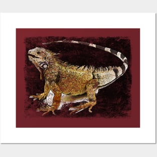 iguana Posters and Art